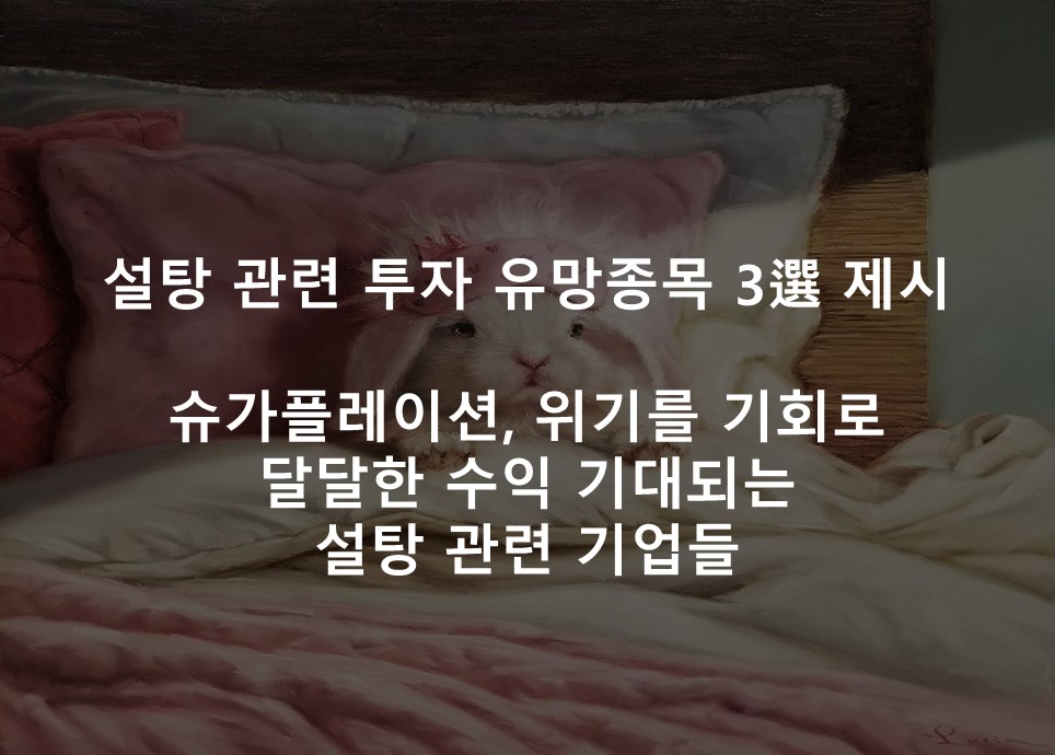 슈가플레이션, 위기를 기회로 <br /> 달달한 수익 기대되는 설탕 관련 기업들